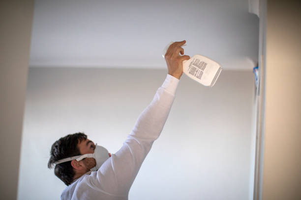Best Mold Testing  in Georgetown, CO
