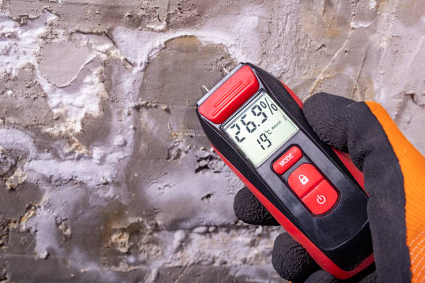 Best Mold Inspection  in Georgetown, CO