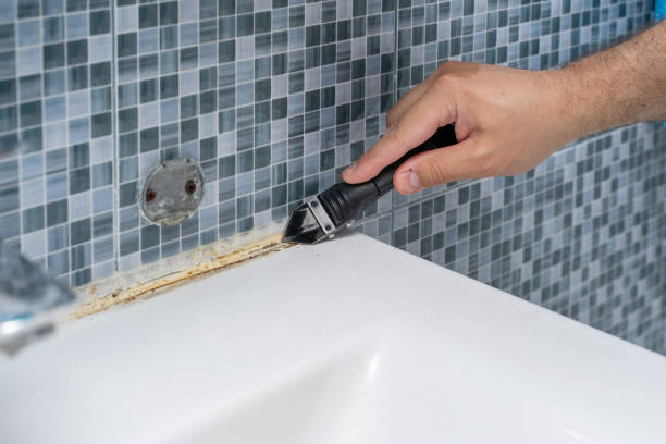 Trusted Georgetown, CO Mold Removal Experts