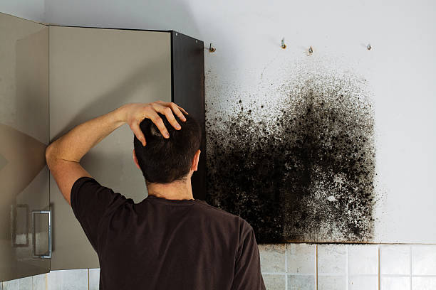 Best Crawl Space Mold Removal  in Georgetown, CO